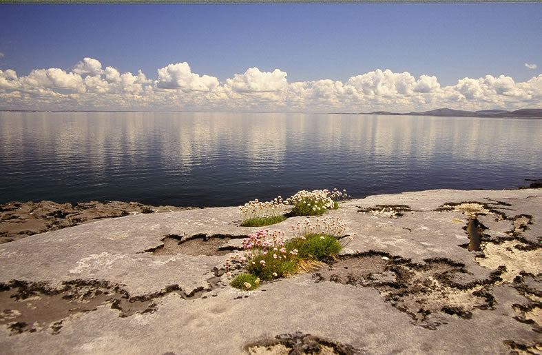 The Burren at Galway Bay.
