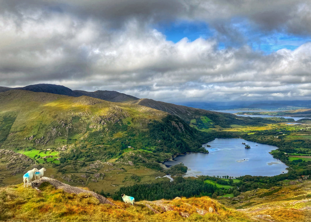 View from a hill, County Kerry.